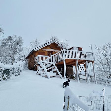 Villa Gnezdo Vid-Ik Catez ob Savi Exterior foto