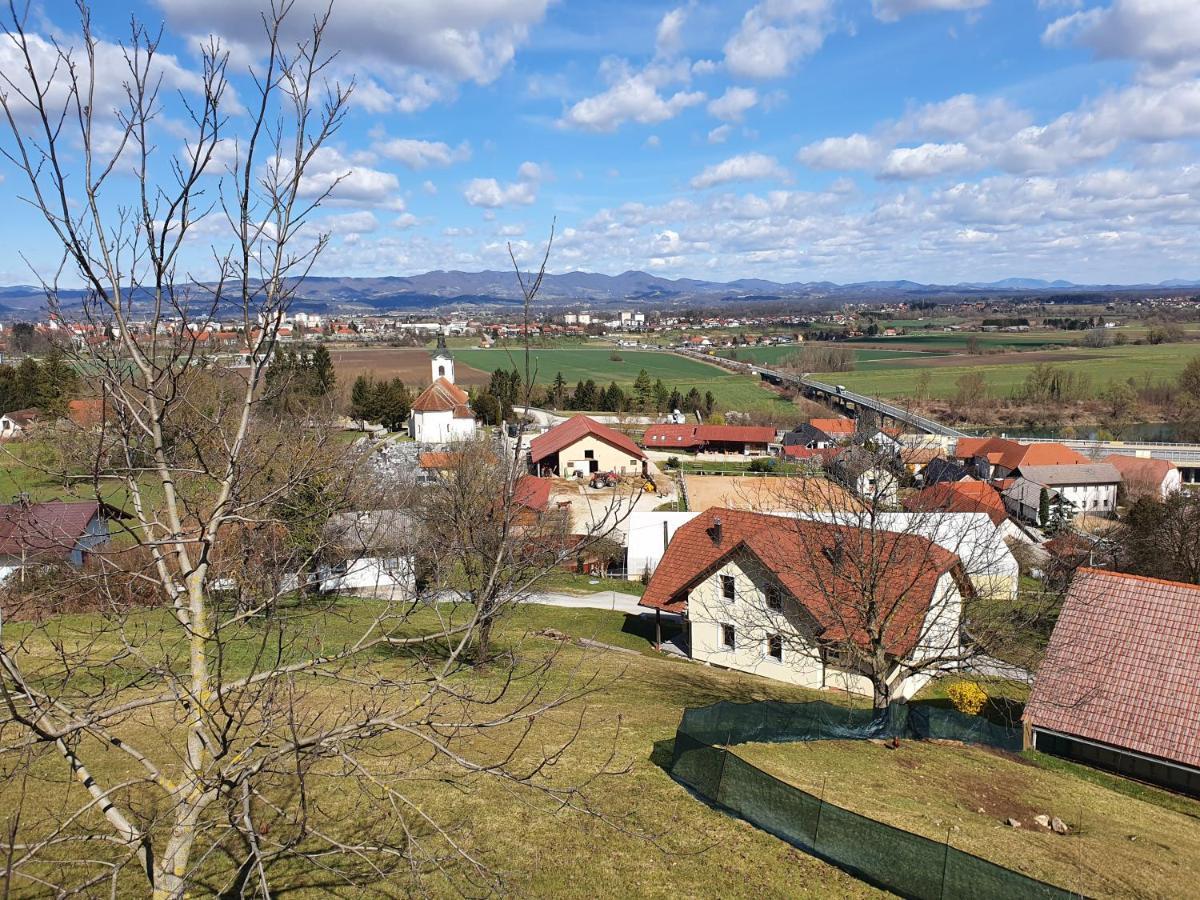 Villa Gnezdo Vid-Ik Catez ob Savi Exterior foto